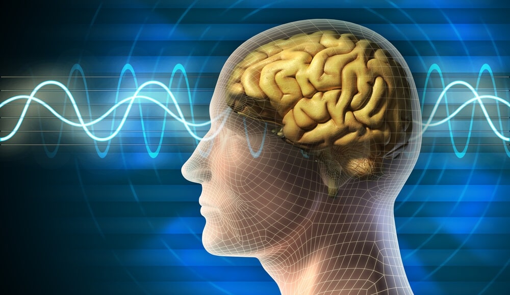 Neurologie Neurologie